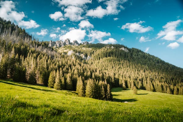 Osada Widok na Góry - domki do wynajęcia - góry